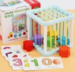 Wooden Color Sorting cage