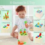 wooden block shape sorter Montessori toy(5 in 1 toy)