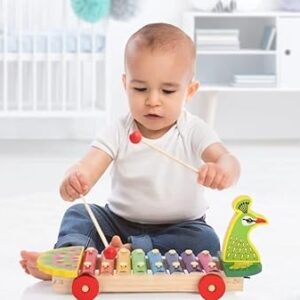 Musical Instrument Xylophone with Pull along