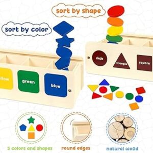 wooden sorting box/ color sorting box