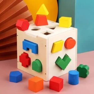 Geometric shape sorter with 15 holes