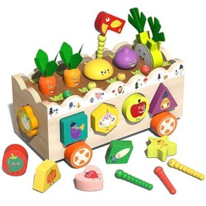 vegetable sorting toy