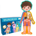 Body Structure Puzzle