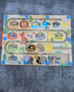 Animal Magnetic Maze