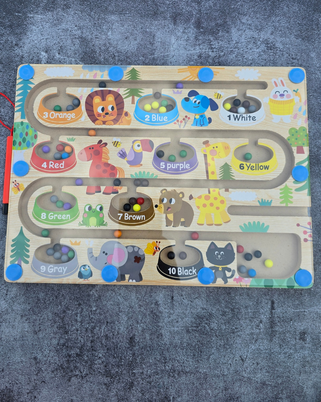 2026/07/1000302822.png Animal Magnetic Maze - Image 1